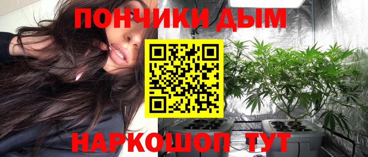 Канабис планчик Дятьково